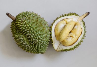 Durian, Buah Yang Kaya Nutrisi